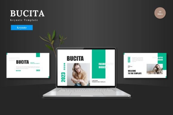 Bucita - Keynote Template for Polished Presentations